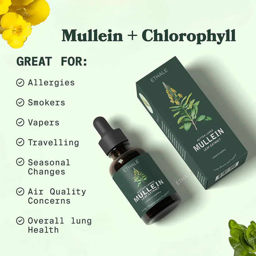 OPTI - Mullein + Chlorofyll Lung Drops